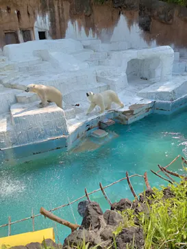 天王寺動物園に投稿された画像（2022/4/21）