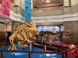 国立科学博物館　特別企画展「ポケモン化石博物館」に投稿された画像（2022/4/21）