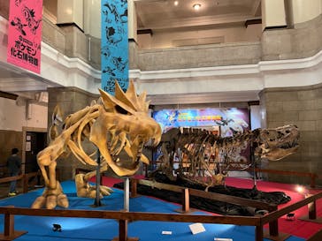 国立科学博物館　特別企画展「ポケモン化石博物館」に投稿された画像（2022/4/21）