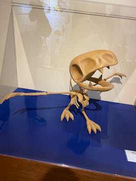 国立科学博物館　特別企画展「ポケモン化石博物館」に投稿された画像（2022/4/21）