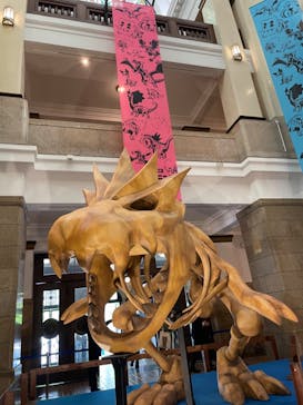 国立科学博物館　特別企画展「ポケモン化石博物館」に投稿された画像（2022/4/21）