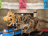 国立科学博物館　特別企画展「ポケモン化石博物館」に投稿された画像（2022/4/21）