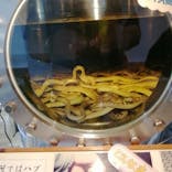 おきなわワールドに投稿された画像（2022/4/21）