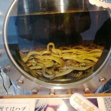 おきなわワールドに投稿された画像（2022/4/21）