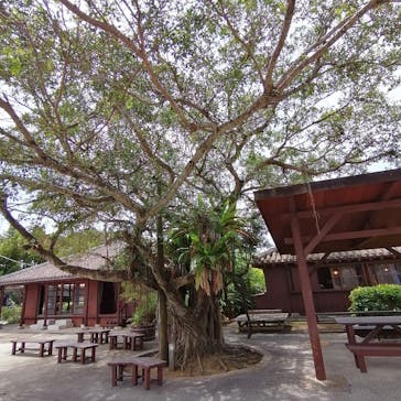 おきなわワールドに投稿された画像（2022/4/21）