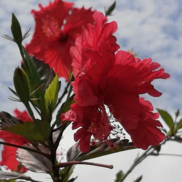 おきなわワールドに投稿された画像（2022/4/21）