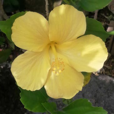 おきなわワールドに投稿された画像（2022/4/21）