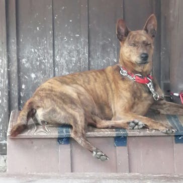 おきなわワールドに投稿された画像（2022/4/21）