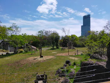 天王寺動物園に投稿された画像（2022/4/21）
