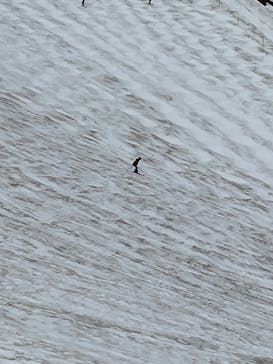 白馬八方尾根スキー場に投稿された画像（2022/4/21）