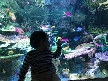 サンシャイン水族館に投稿された画像（2022/4/21）