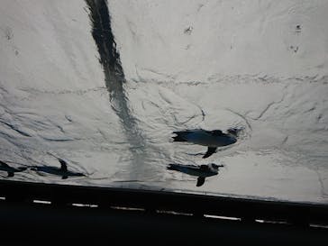 サンシャイン水族館に投稿された画像（2022/4/22）