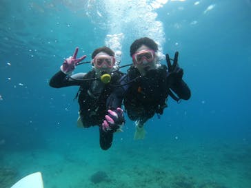 武藤潜水に投稿された画像（2022/4/22）