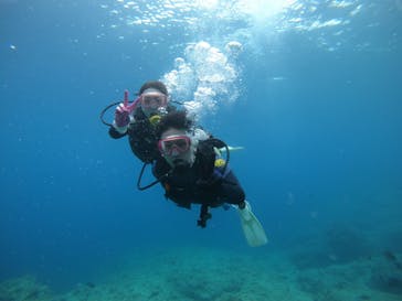 武藤潜水に投稿された画像（2022/4/22）