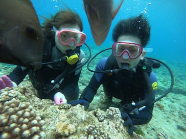 武藤潜水に投稿された画像（2022/4/22）