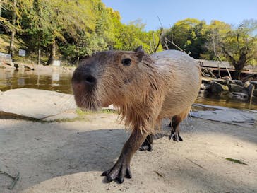 長崎バイオパークに投稿された画像（2022/4/22）