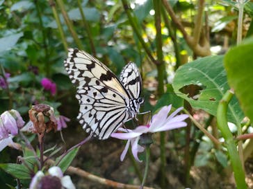 長崎バイオパークに投稿された画像（2022/4/22）