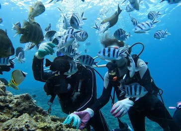 青の洞窟専門店　沖縄ダイビングショップ和に投稿された画像（2022/4/22）