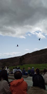 那須どうぶつ王国に投稿された画像（2022/4/22）