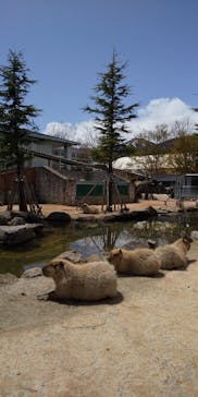 那須どうぶつ王国に投稿された画像（2022/4/22）