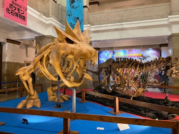 国立科学博物館　特別企画展「ポケモン化石博物館」に投稿された画像（2022/4/22）