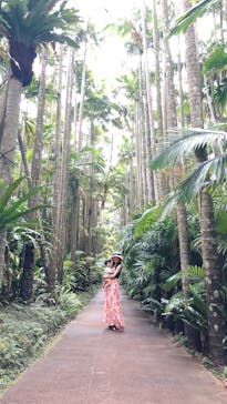 美らヤシパークオキナワ・東南植物楽園に投稿された画像（2022/4/22）