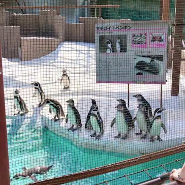 天王寺動物園に投稿された画像（2022/4/22）
