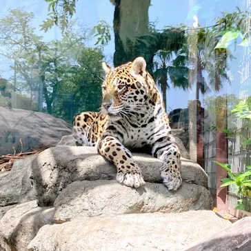 天王寺動物園に投稿された画像（2022/4/22）