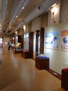 国立科学博物館　特別企画展「ポケモン化石博物館」に投稿された画像（2022/4/22）