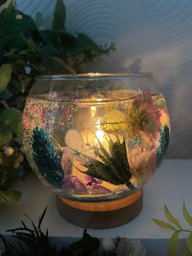 ずこうしつ〜sugamo〜に投稿された画像（2022/4/22）