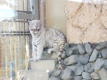 東武動物公園に投稿された画像（2022/4/22）