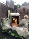 伊豆シャボテン動物公園に投稿された画像（2022/4/22）