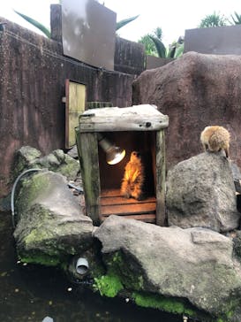 伊豆シャボテン動物公園に投稿された画像（2022/4/22）