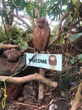 伊豆シャボテン動物公園に投稿された画像（2022/4/22）