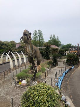 伊豆ぐらんぱる公園に投稿された画像（2022/4/22）