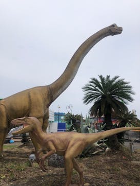 伊豆ぐらんぱる公園に投稿された画像（2022/4/22）