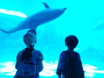 名古屋港水族館に投稿された画像（2022/4/22）