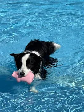 わんダフルネイチャーヴィレッジに投稿された画像（2022/4/22）