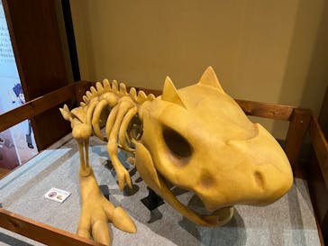国立科学博物館　特別企画展「ポケモン化石博物館」に投稿された画像（2022/4/22）