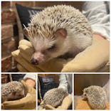 HARRY　横浜中華街店に投稿された画像（2022/4/22）