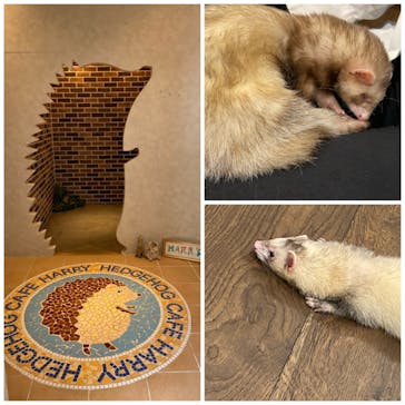 HARRY　横浜中華街店に投稿された画像（2022/4/22）