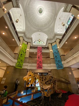 国立科学博物館　特別企画展「ポケモン化石博物館」に投稿された画像（2022/4/22）