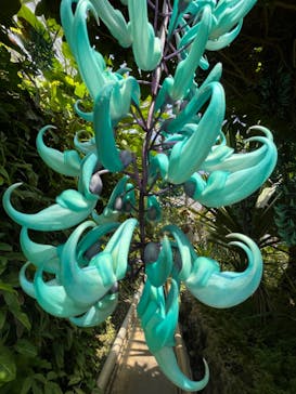 熱川バナナワニ園に投稿された画像（2022/4/22）