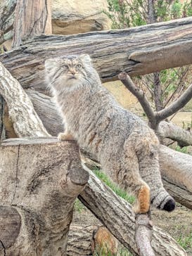 那須どうぶつ王国に投稿された画像（2022/4/22）