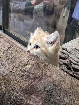 那須どうぶつ王国に投稿された画像（2022/4/22）