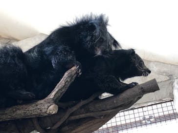 那須どうぶつ王国に投稿された画像（2022/4/22）