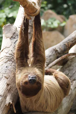 神戸どうぶつ王国に投稿された画像（2022/4/23）