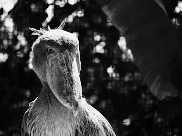 神戸どうぶつ王国に投稿された画像（2022/4/23）