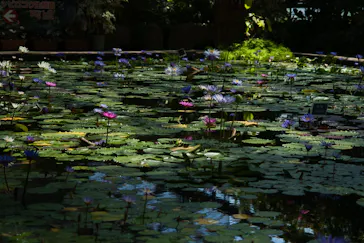 神戸どうぶつ王国に投稿された画像（2022/4/23）