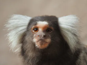 神戸どうぶつ王国に投稿された画像（2022/4/23）